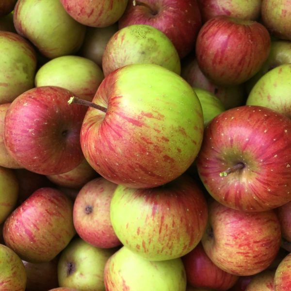 Tiempo de Manzanas
